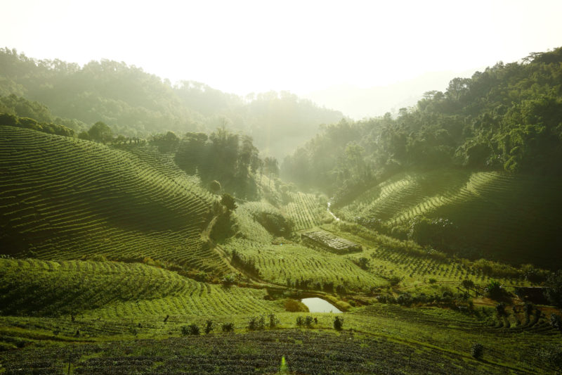 Winter in Southeast Asia: The Coldest Destinations in the Tropics