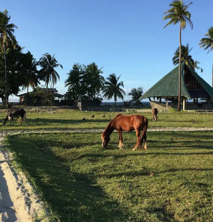 Secluded Beach House Mindoro