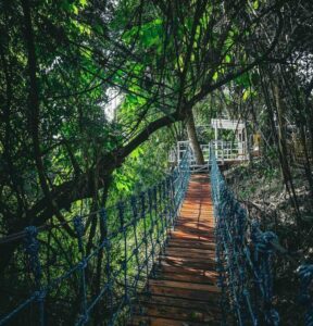 The Canopy Forest: A Relaxing Getaway in Indang, Cavite